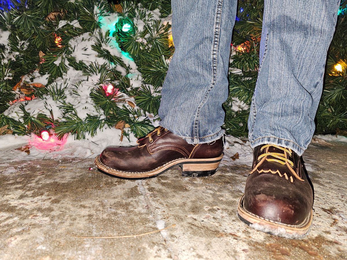 Photo by DRYoung on December 6, 2024 of the Frank's Boots Wilshire in Seidel Brown Domain.