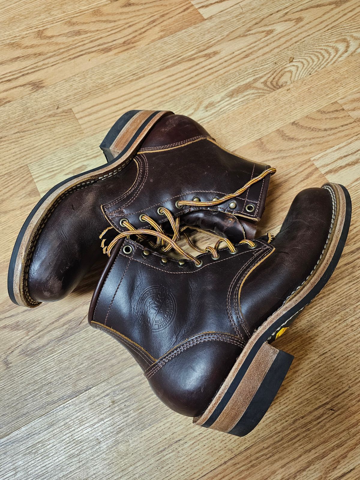 Photo by DRYoung on December 6, 2024 of the Frank's Boots Wilshire in Seidel Brown Domain.