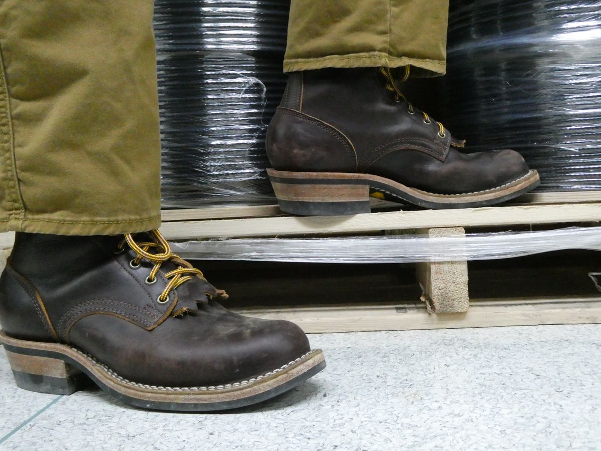 Photo by DRYoung on January 4, 2025 of the Frank's Boots Wilshire in Seidel Brown Domain.