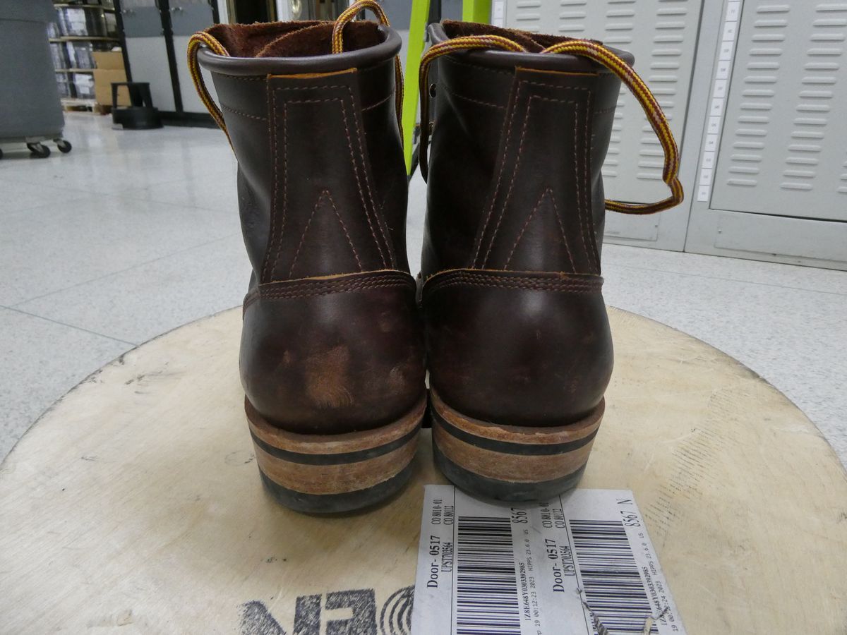 Photo by DRYoung on January 4, 2025 of the Frank's Boots Wilshire in Seidel Brown Domain.