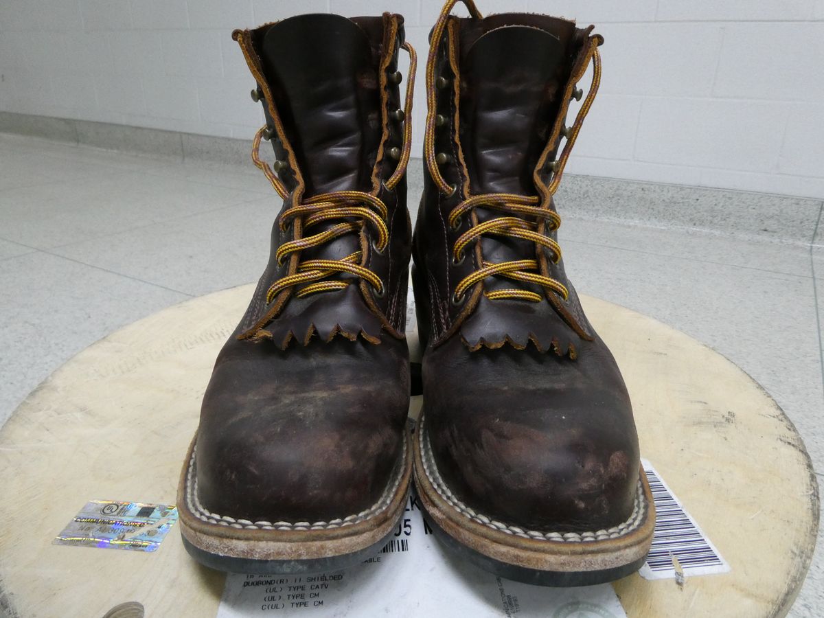 Photo by DRYoung on January 4, 2025 of the Frank's Boots Wilshire in Seidel Brown Domain.