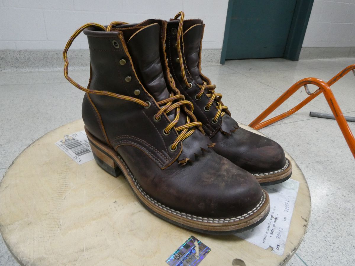 Photo by DRYoung on January 4, 2025 of the Frank's Boots Wilshire in Seidel Brown Domain.