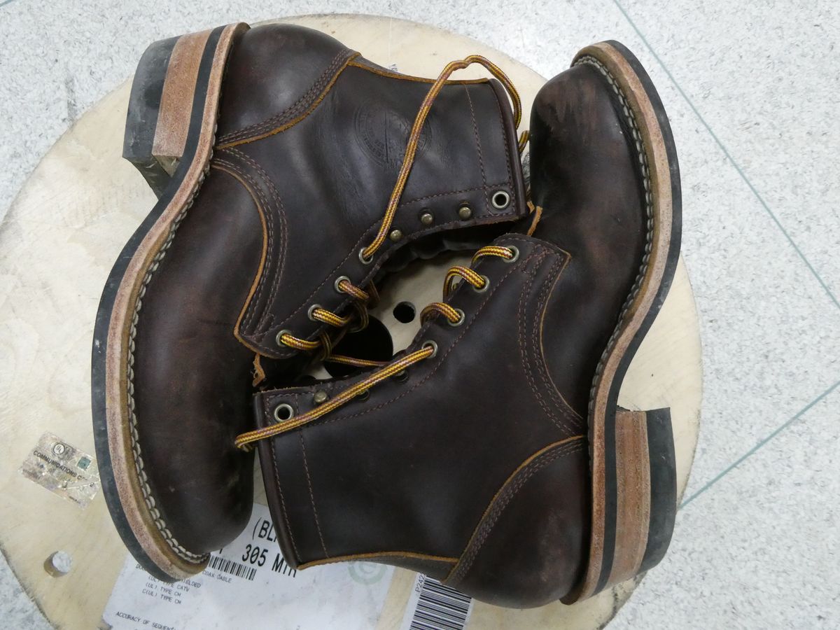 Photo by DRYoung on January 4, 2025 of the Frank's Boots Wilshire in Seidel Brown Domain.