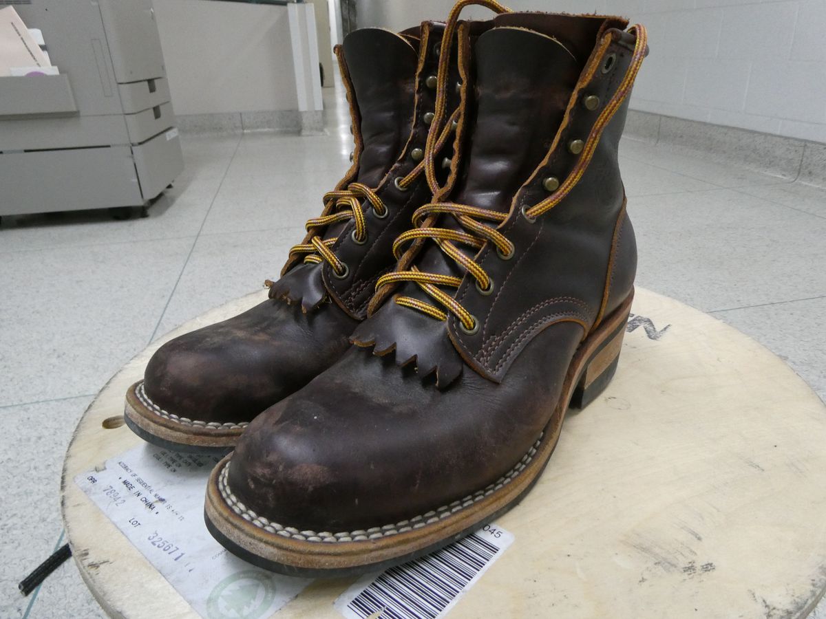 Photo by DRYoung on January 4, 2025 of the Frank's Boots Wilshire in Seidel Brown Domain.