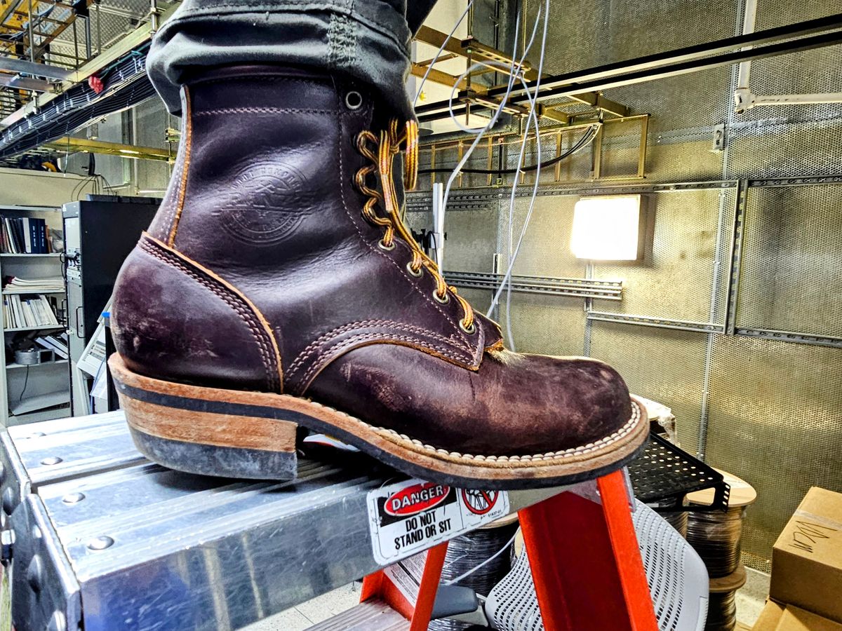 Photo by DRYoung on February 5, 2025 of the Frank's Boots Wilshire in Seidel Brown Domain.