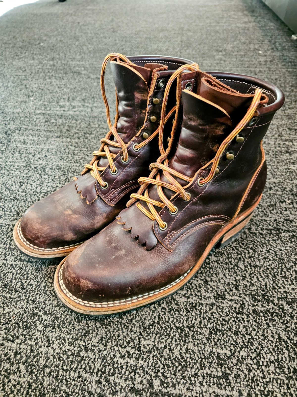 Photo by DRYoung on February 5, 2025 of the Frank's Boots Wilshire in Seidel Brown Domain.