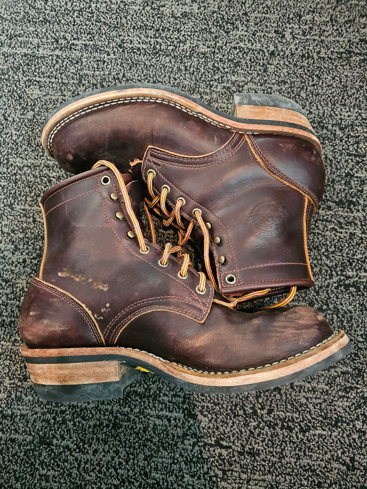 Photo by DRYoung on February 5, 2025 of the Frank's Boots Wilshire in Seidel Brown Domain.