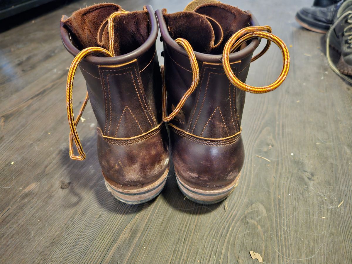 Photo by DRYoung on March 6, 2025 of the Frank's Boots Wilshire in Seidel Brown Domain.