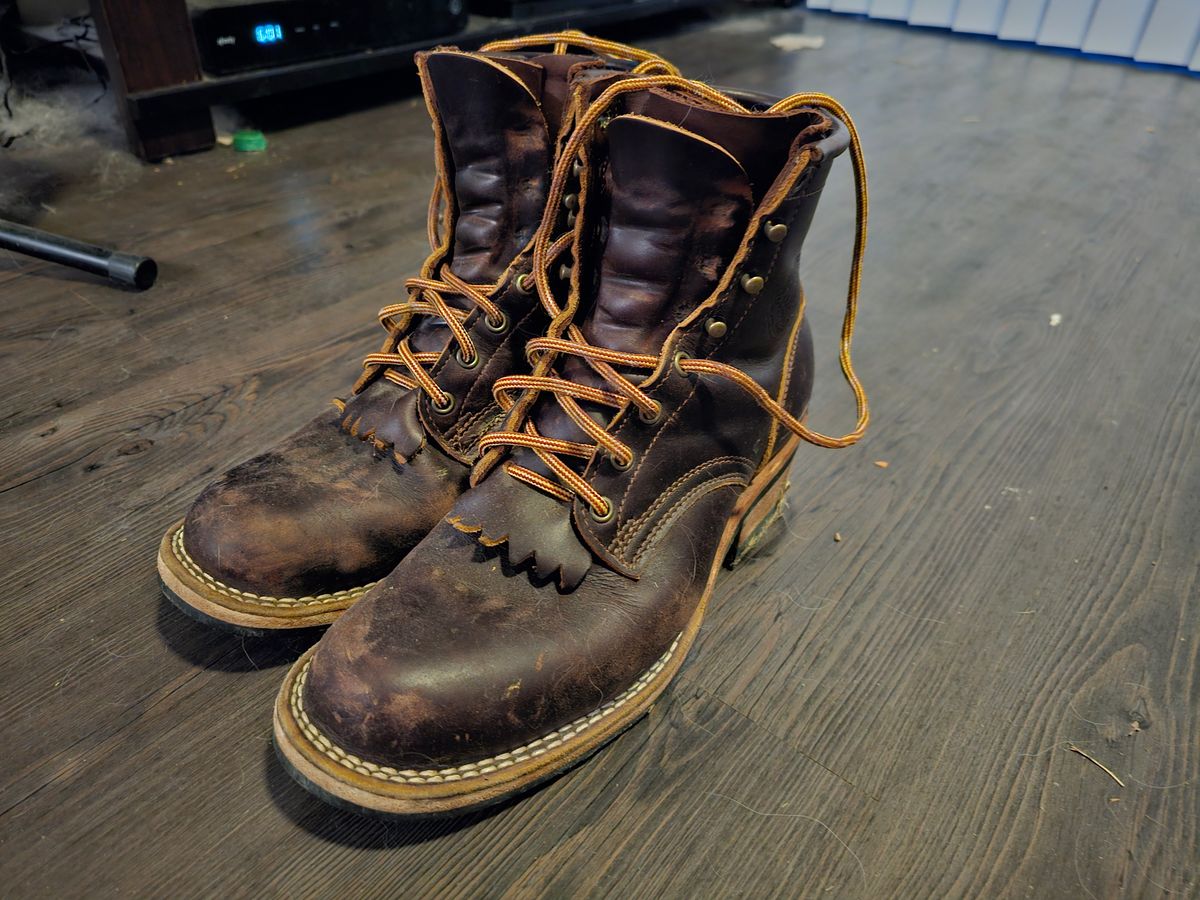 Photo by DRYoung on March 6, 2025 of the Frank's Boots Wilshire in Seidel Brown Domain.