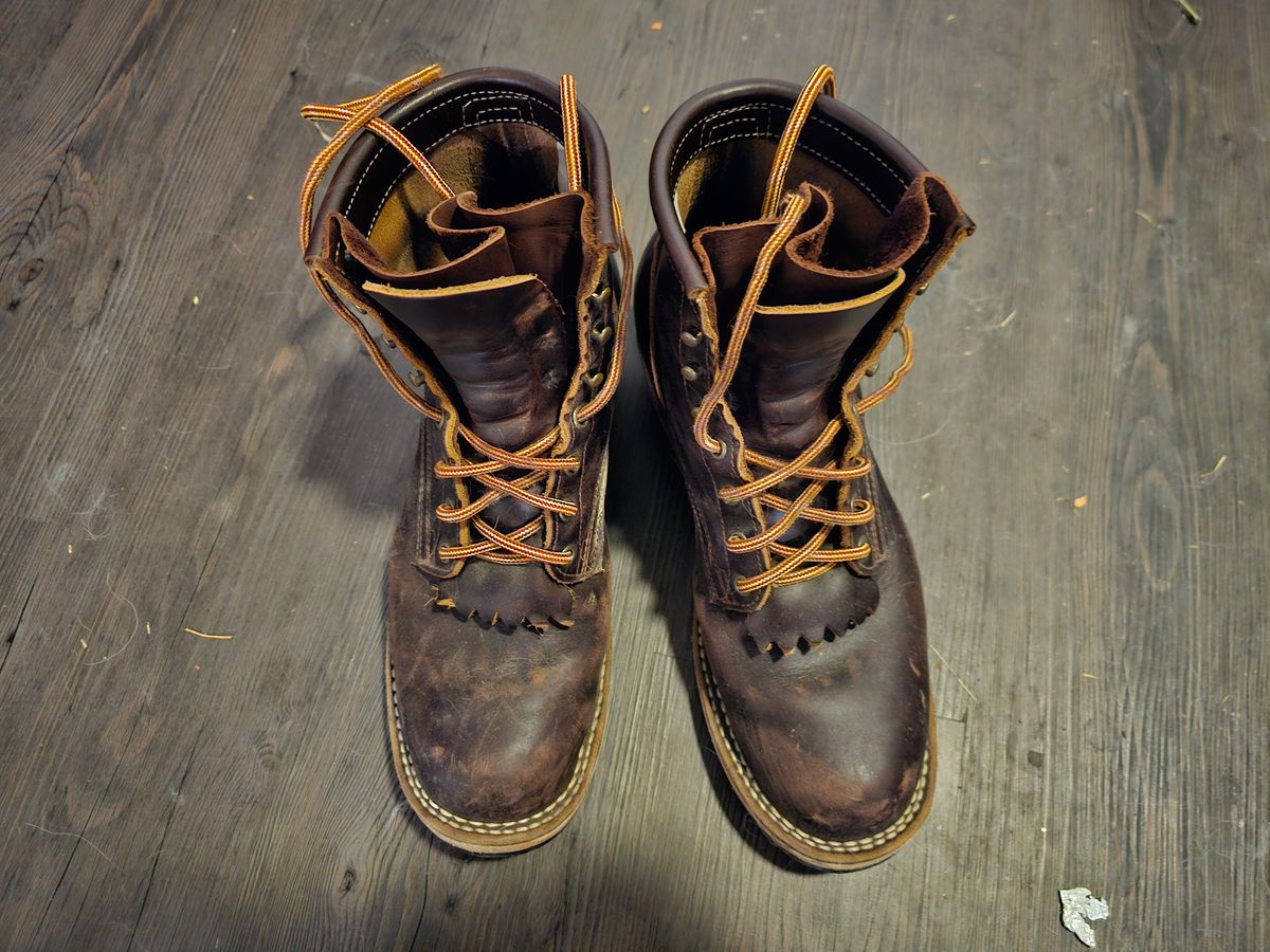 Photo by DRYoung on March 6, 2025 of the Frank's Boots Wilshire in Seidel Brown Domain.