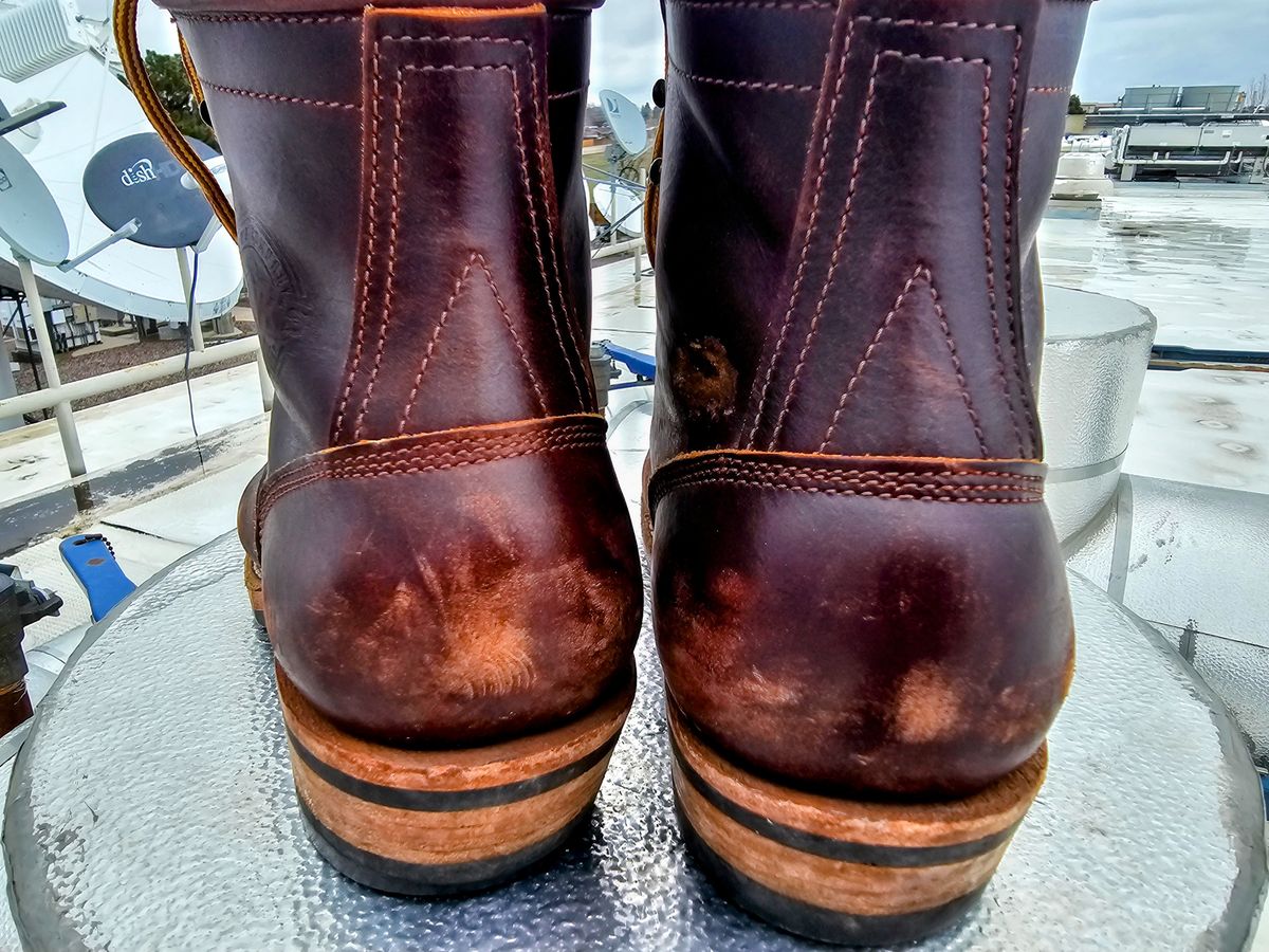 Photo by DRYoung on April 4, 2025 of the Frank's Boots Wilshire in Seidel Brown Domain.