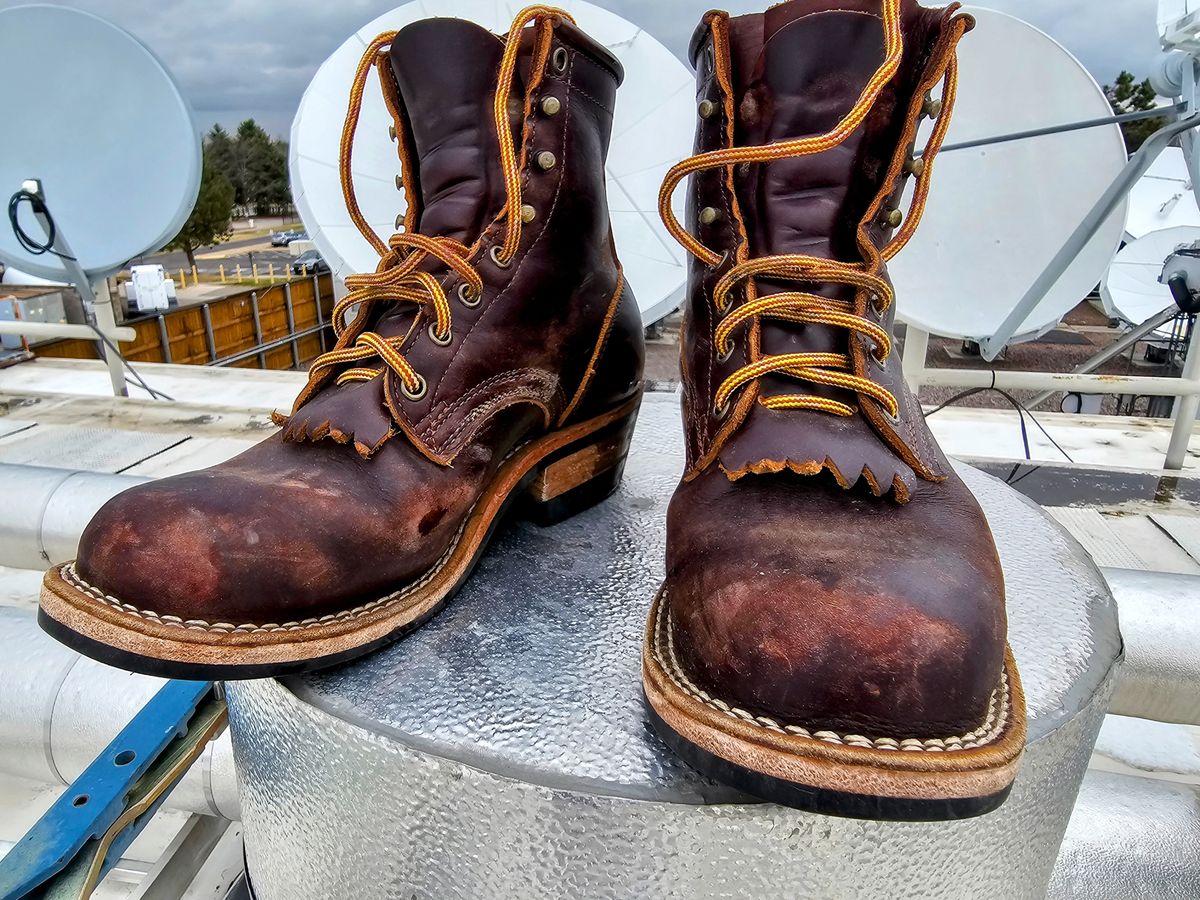 Photo by DRYoung on April 4, 2025 of the Frank's Boots Wilshire in Seidel Brown Domain.
