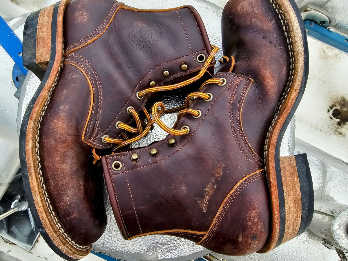 Photo by DRYoung on April 4, 2025 of the Frank's Boots Wilshire in Seidel Brown Domain.