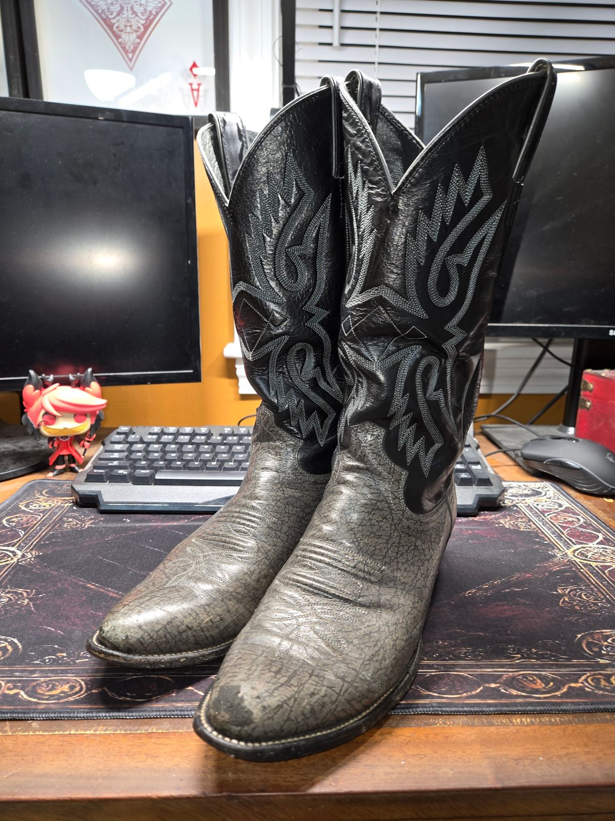 Photo by Jackpot_Johnson on July 2, 2026 of the Justin 9044 in Cowhide.