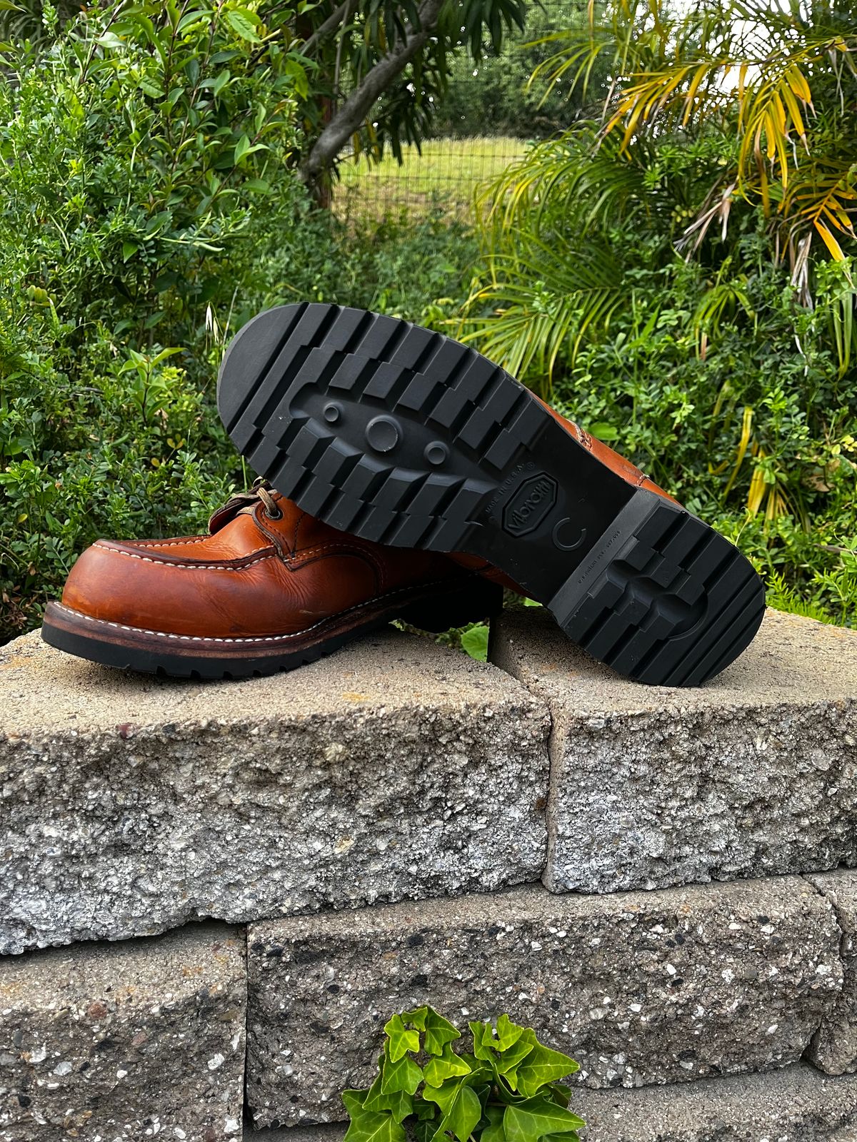 Photo by BestWaifuAround on May 3, 2025 of the Red Wing 6-Inch Classic Moc in S.B. Foot Oro-Iginal.