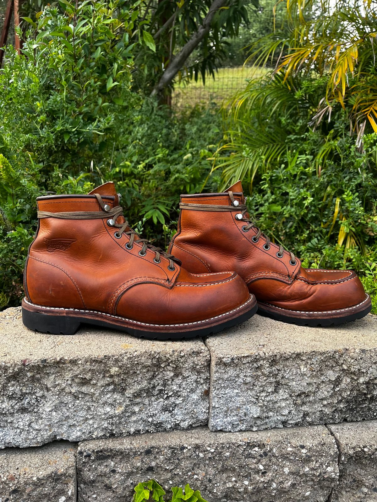 Photo by BestWaifuAround on May 3, 2025 of the Red Wing 6-Inch Classic Moc in S.B. Foot Oro-Iginal.