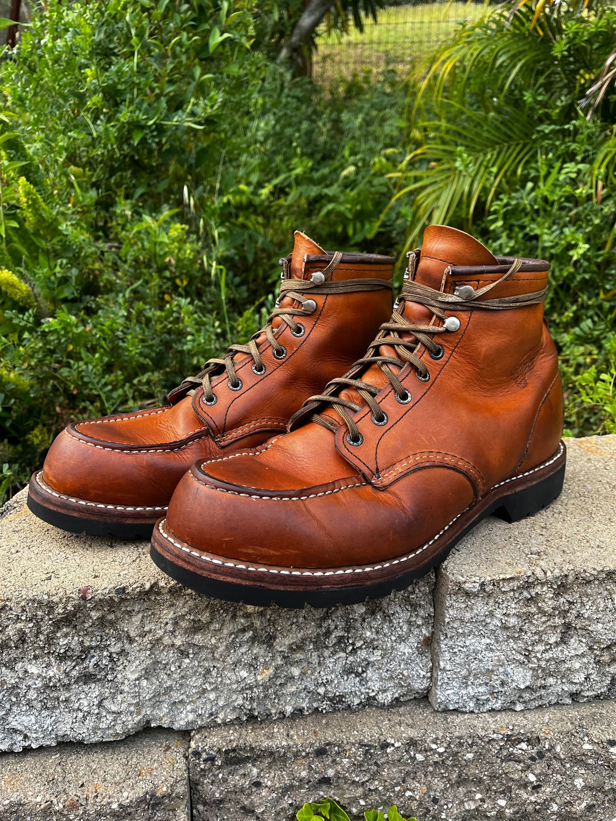 Photo by BestWaifuAround on May 3, 2025 of the Red Wing 6-Inch Classic Moc in S.B. Foot Oro-Iginal.