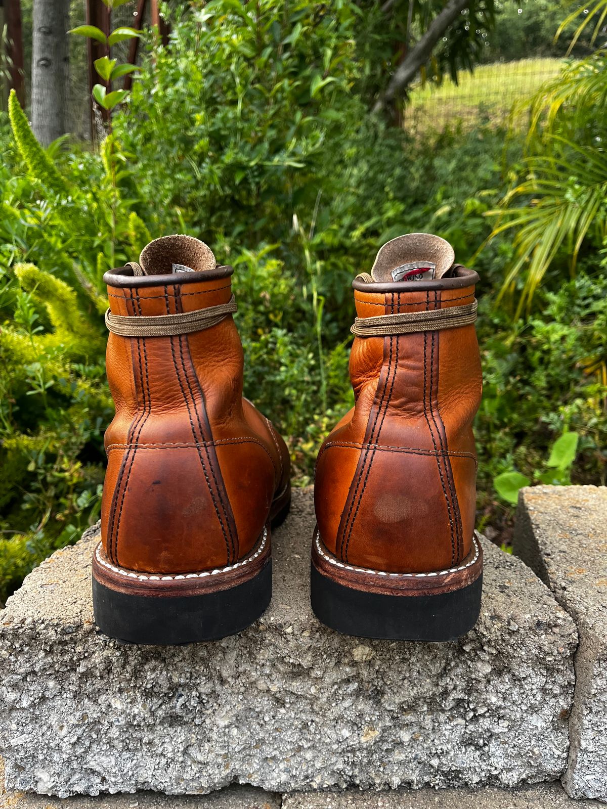 Photo by BestWaifuAround on May 3, 2025 of the Red Wing 6-Inch Classic Moc in S.B. Foot Oro-Iginal.