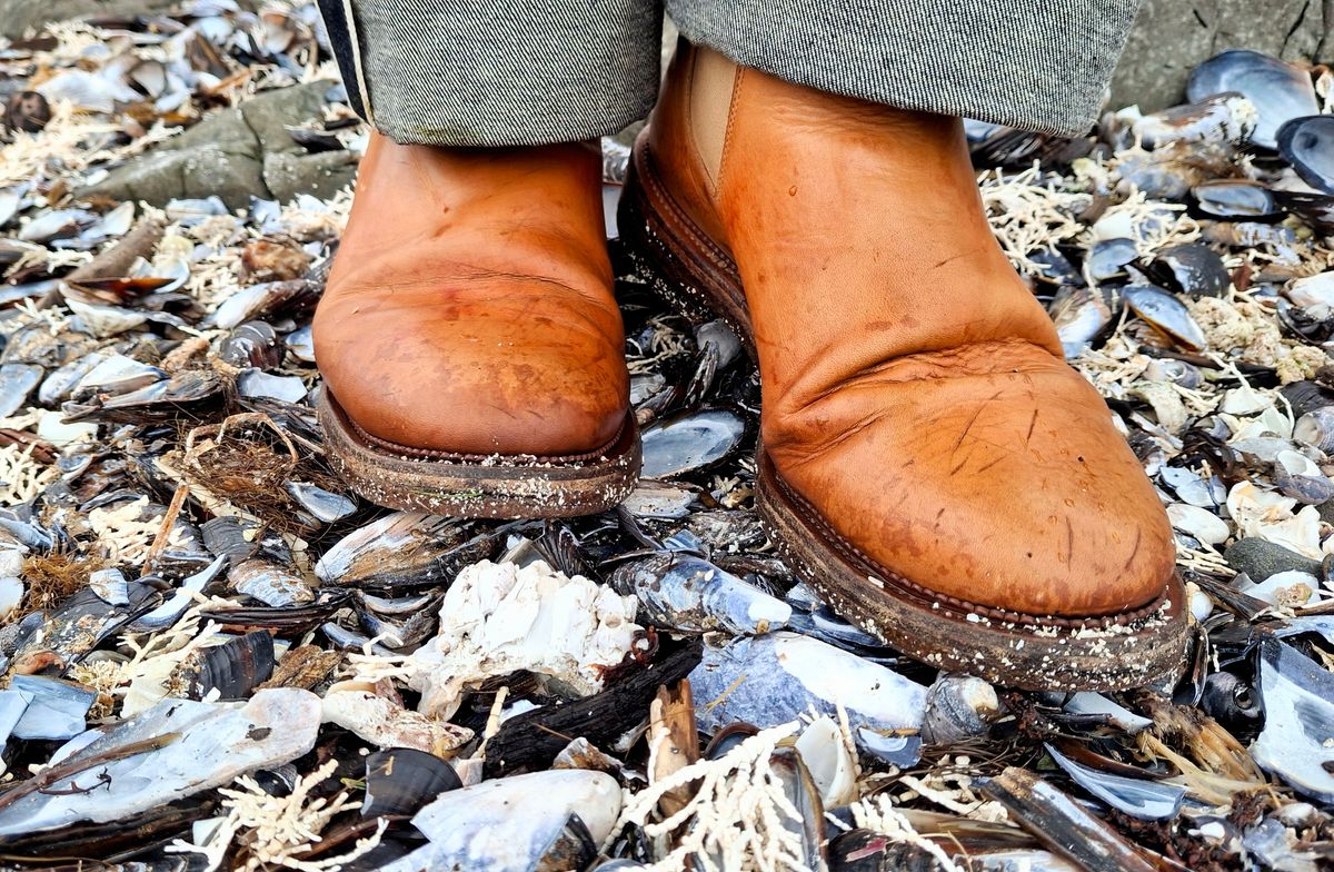 Photo by Mark on February 23, 2025 of the Viberg Chelsea in Conceria 800 Champagne Washed Vachetta.