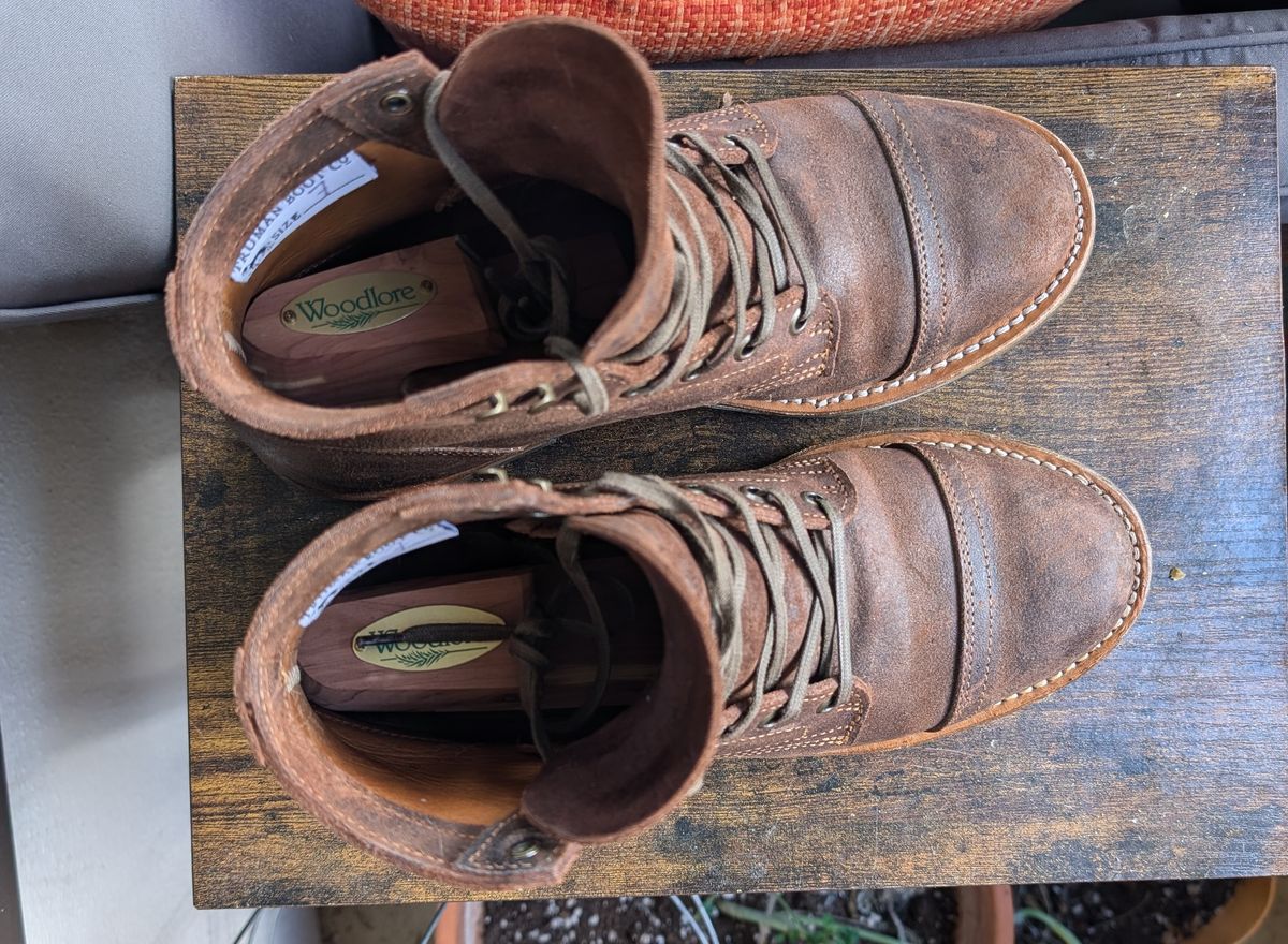 Photo by franklynne on November 3, 2024 of the Truman Cap Toe Boot in C.F. Stead Snuff Waxy Commander Suede.