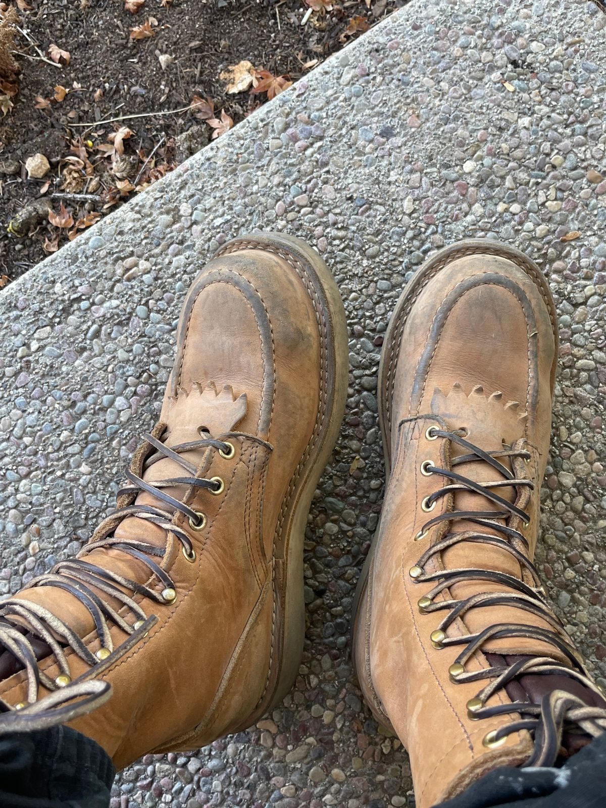 Photo by KuKuSparky on October 11, 2024 of the Nicks Moc Toe Pro in Seidel 1964 Tan.