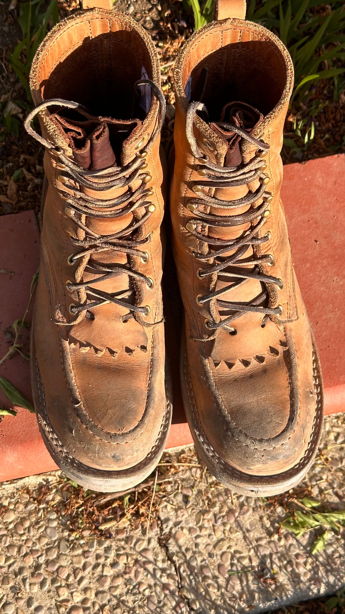 Photo by KuKuSparky on November 6, 2024 of the Nicks Moc Toe Pro in Seidel 1964 Tan.