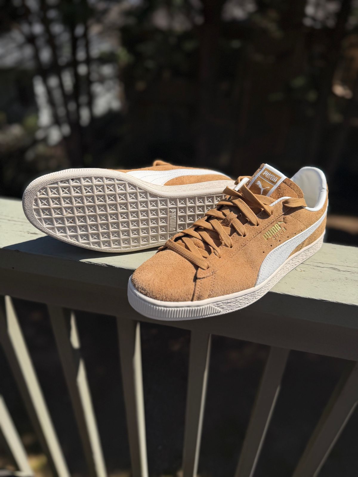 Photo by BigDawg308 on March 20, 2026 of the Puma Suede Charles F. Stead V in C.F. Stead Honey Butter Suede.