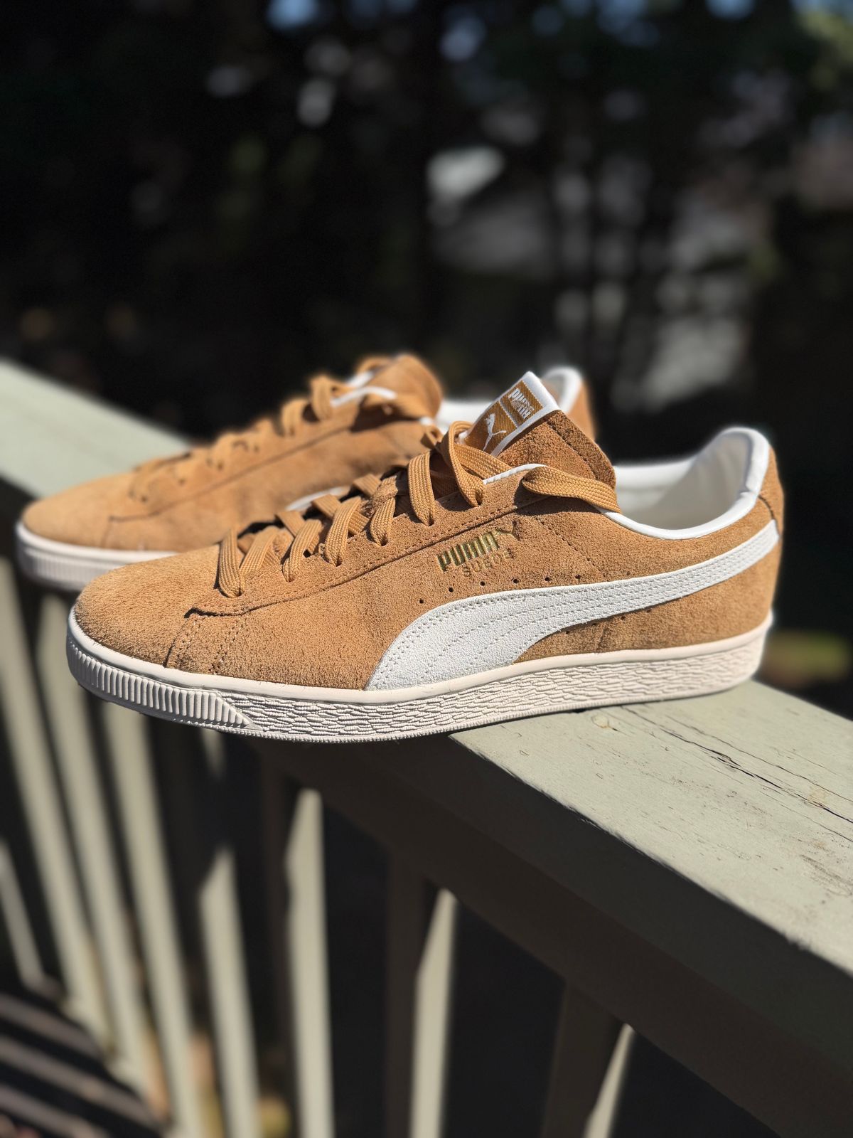 Photo by BigDawg308 on March 20, 2026 of the Puma Suede Charles F. Stead V in C.F. Stead Honey Butter Suede.