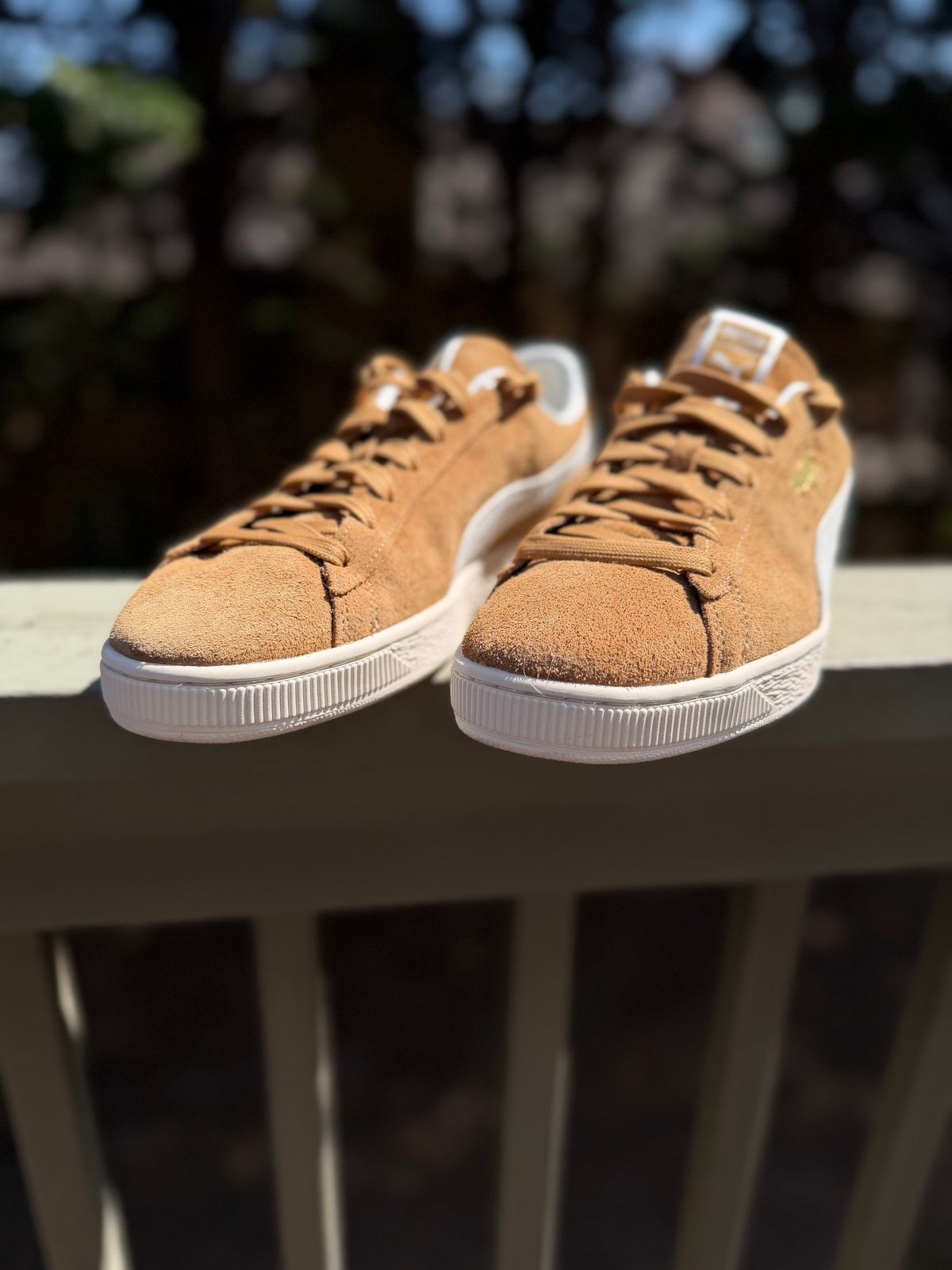 Photo by BigDawg308 on March 20, 2026 of the Puma Suede Charles F. Stead V in C.F. Stead Honey Butter Suede.