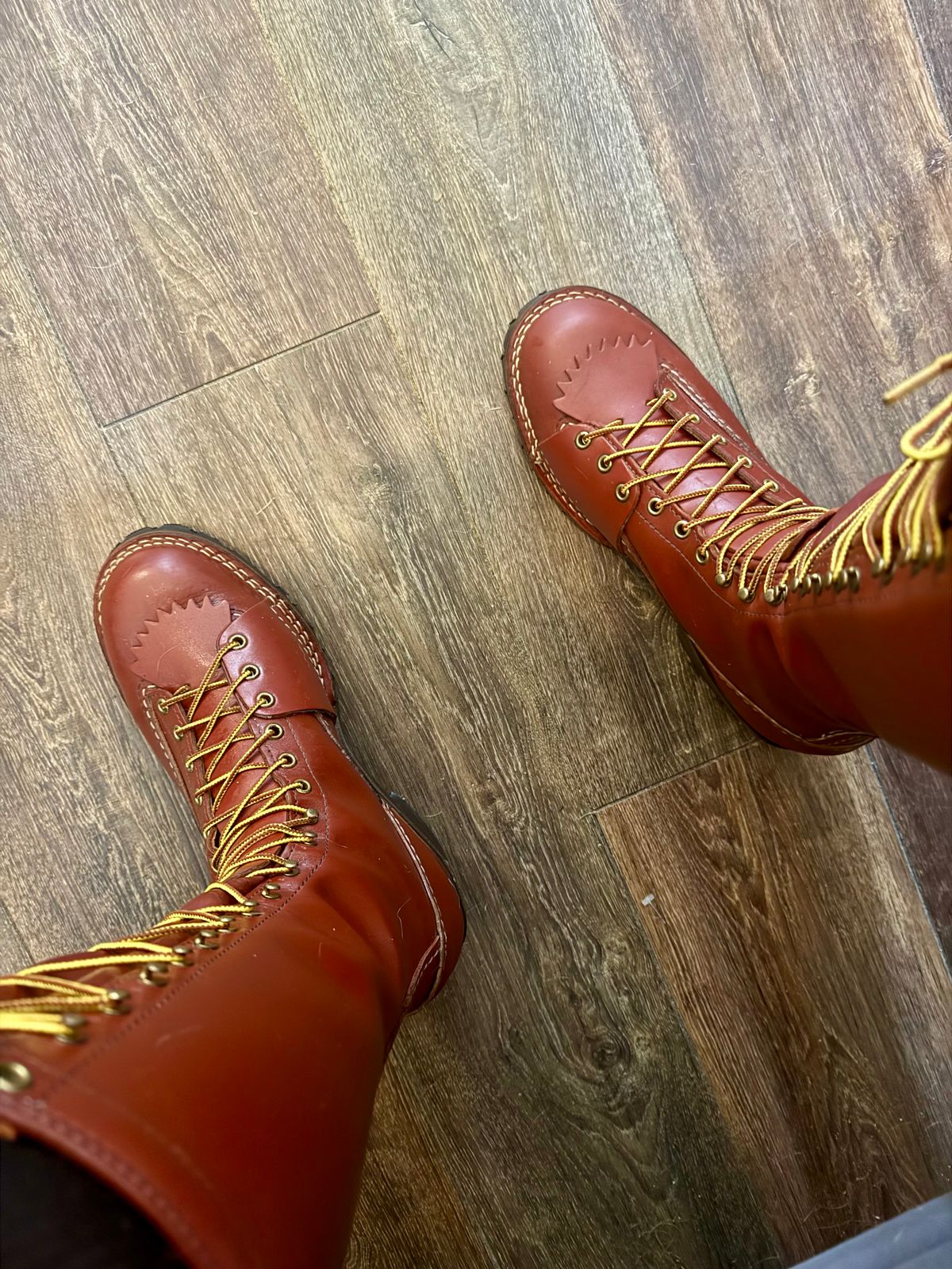 Photo by BigDawg308 on May 16, 2025 of the Wesco Highliner in Seidel Redwood Oil Tan.