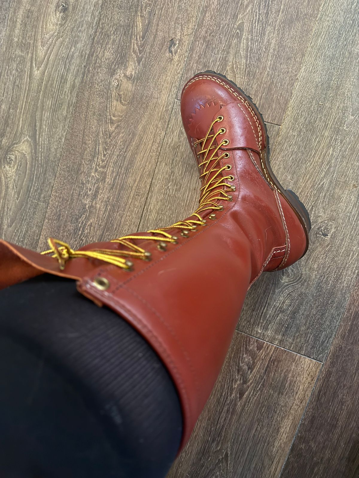 Photo by BigDawg308 on May 16, 2025 of the Wesco Highliner in Seidel Redwood Oil Tan.