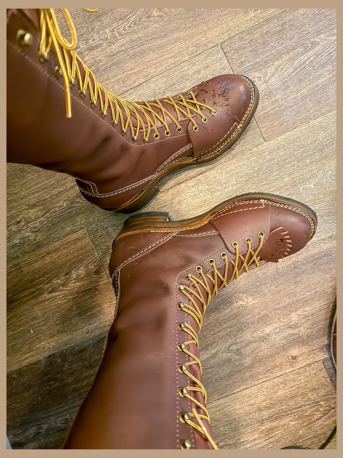 Photo by BigDawg308 on May 10, 2025 of the Wesco Highliner in Seidel Walnut Oil Tan.