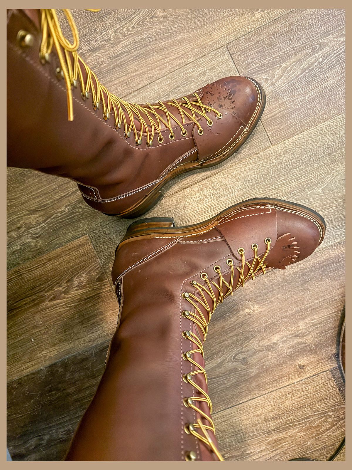 Photo by BigDawg308 on May 10, 2025 of the Wesco Highliner in Seidel Walnut Oil Tan.