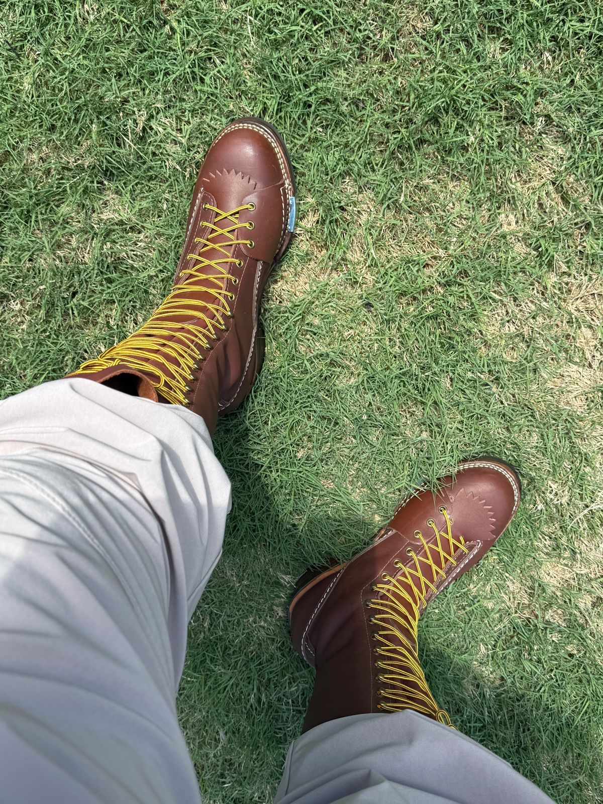 Photo by BigDawg308 on May 6, 2025 of the Wesco Highliner in Seidel Walnut Oil Tan.