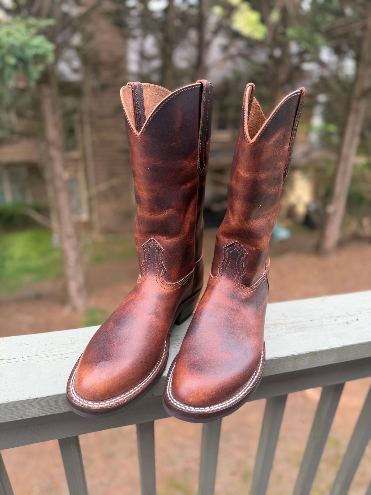Photo by BigDawg308 on April 6, 2026 of the Nicks Palouse in Italian Brown Cypress.