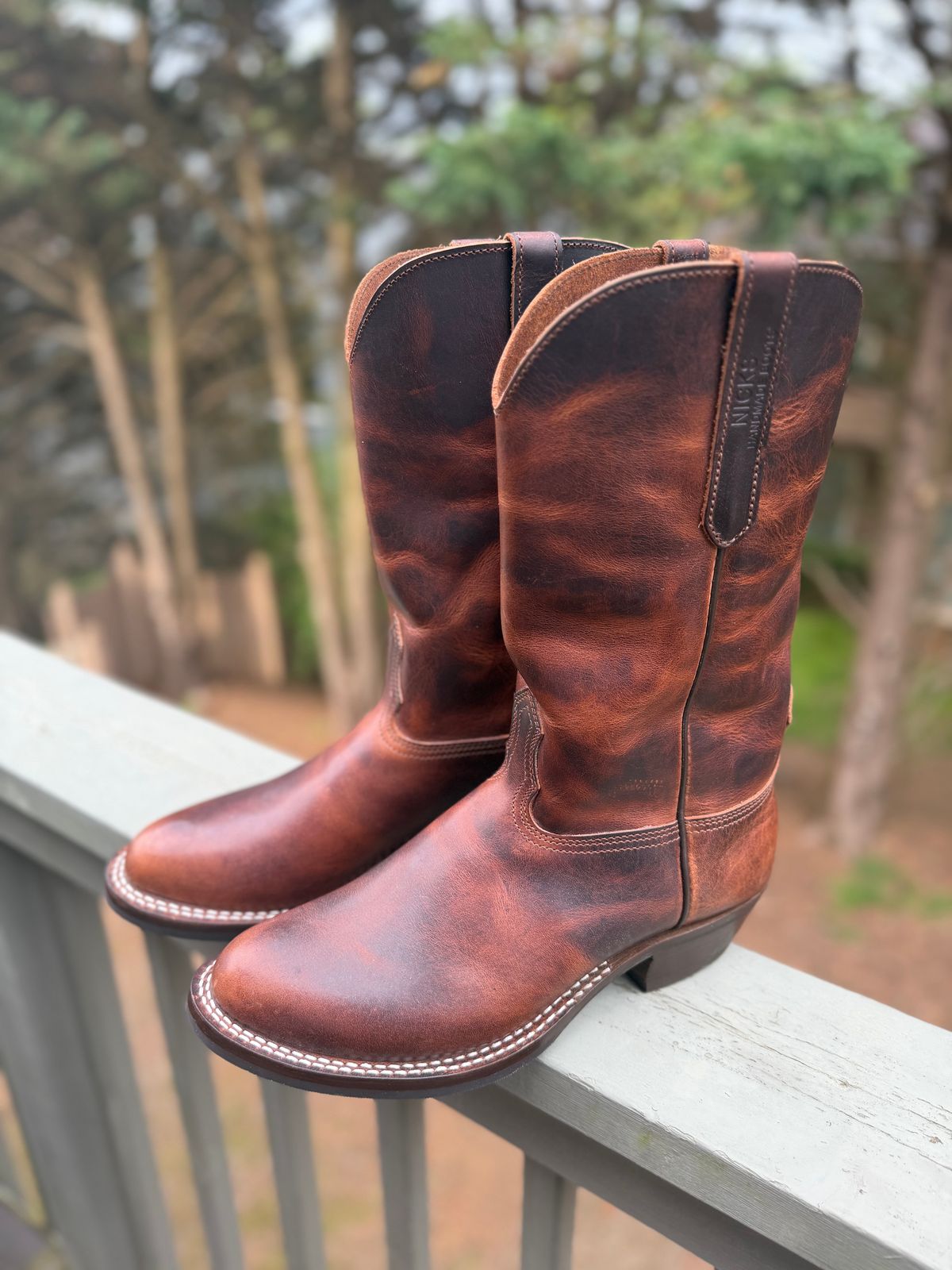 Photo by BigDawg308 on April 6, 2026 of the Nicks Palouse in Italian Brown Cypress.