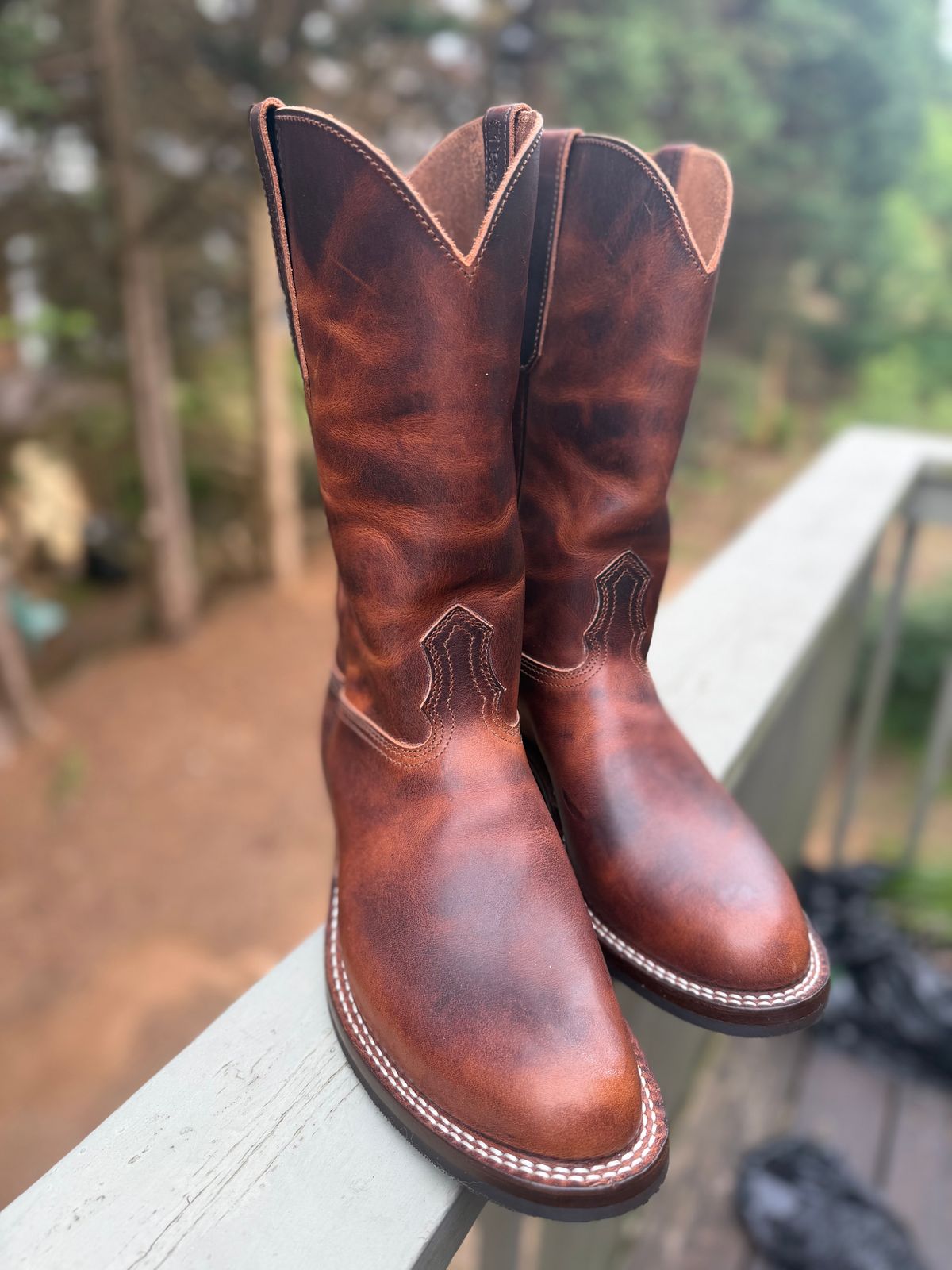 Photo by BigDawg308 on April 6, 2026 of the Nicks Palouse in Italian Brown Cypress.