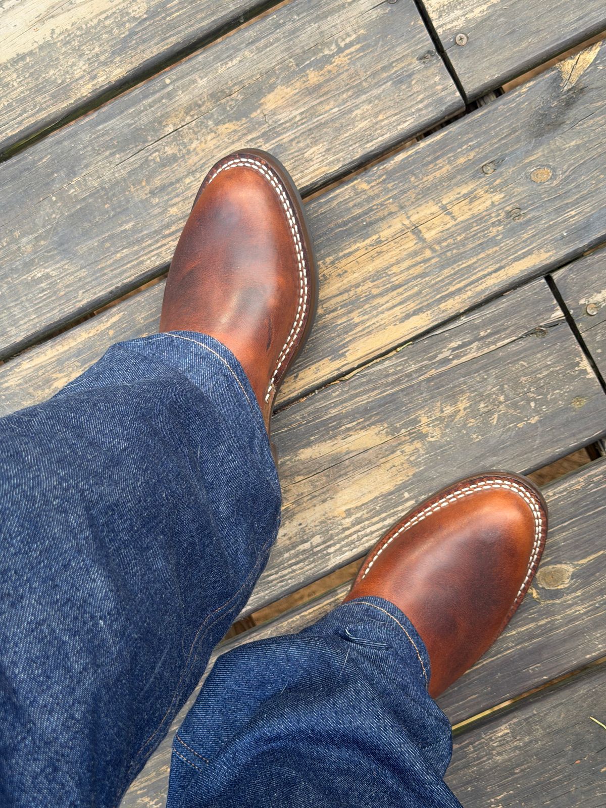 Photo by BigDawg308 on April 13, 2026 of the Nicks Palouse in Italian Brown Cypress.