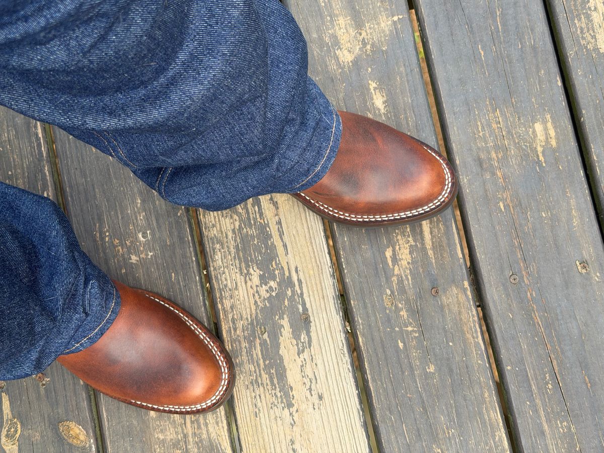 Photo by BigDawg308 on April 13, 2026 of the Nicks Palouse in Italian Brown Cypress.