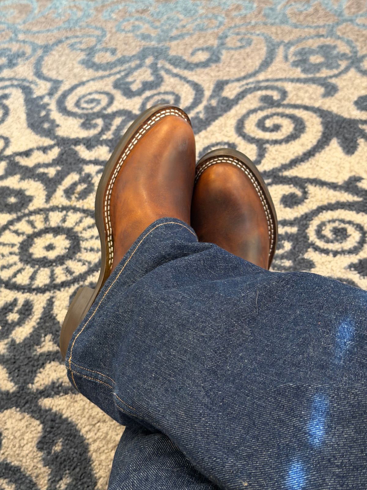 Photo by BigDawg308 on April 13, 2026 of the Nicks Palouse in Italian Brown Cypress.