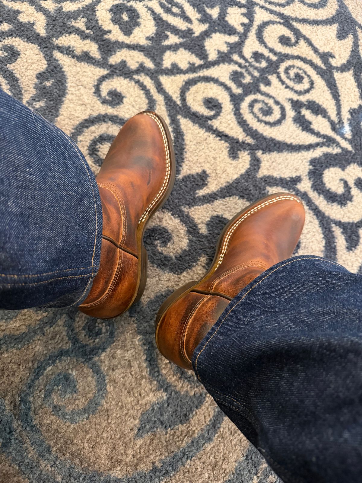 Photo by BigDawg308 on April 13, 2026 of the Nicks Palouse in Italian Brown Cypress.