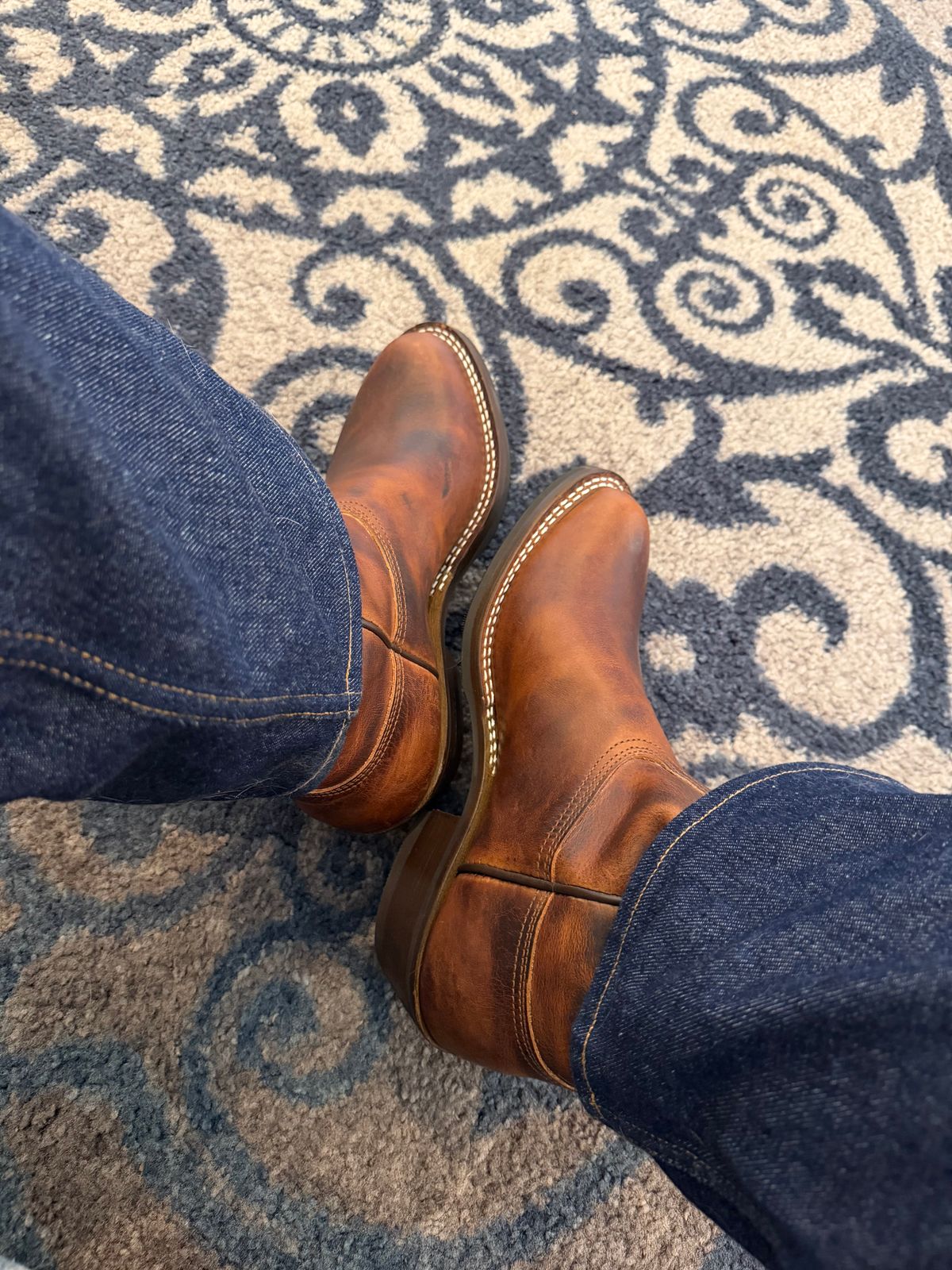 Photo by BigDawg308 on April 13, 2026 of the Nicks Palouse in Italian Brown Cypress.