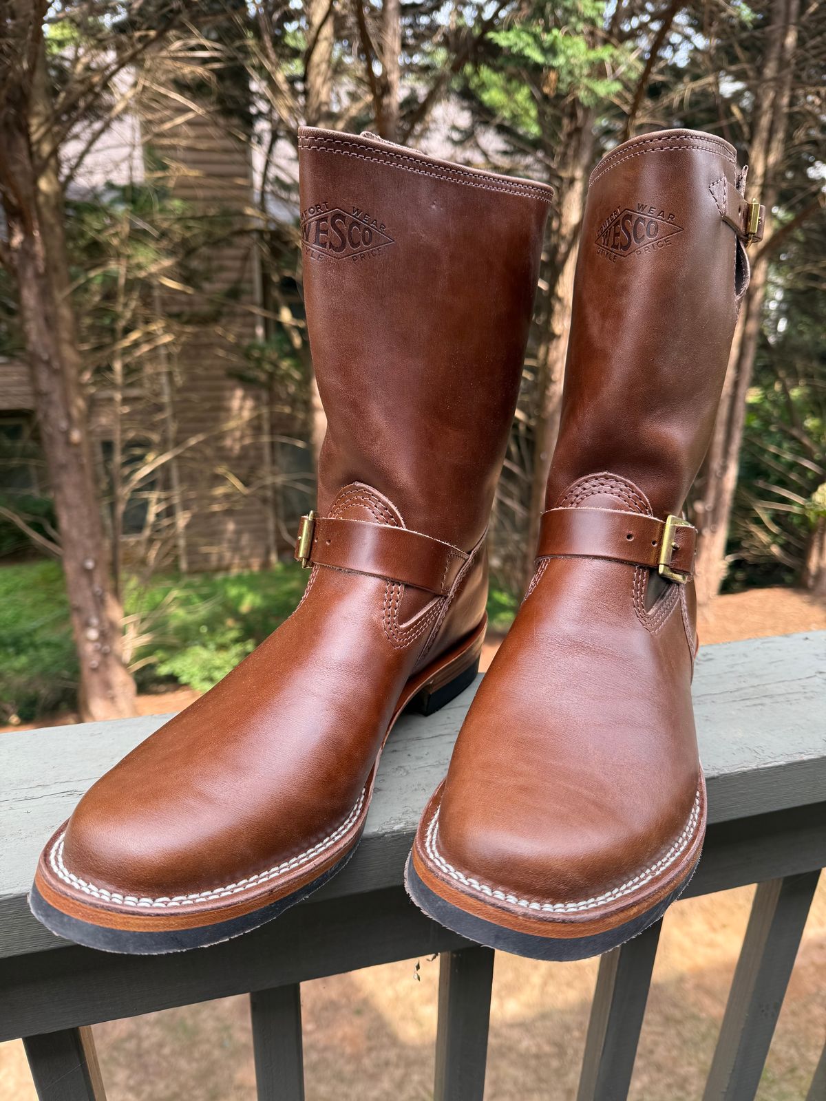 Photo by BigDawg308 on July 21, 2025 of the Wesco Mister Lou in Maryam Toscanello TPR Horsebutt.