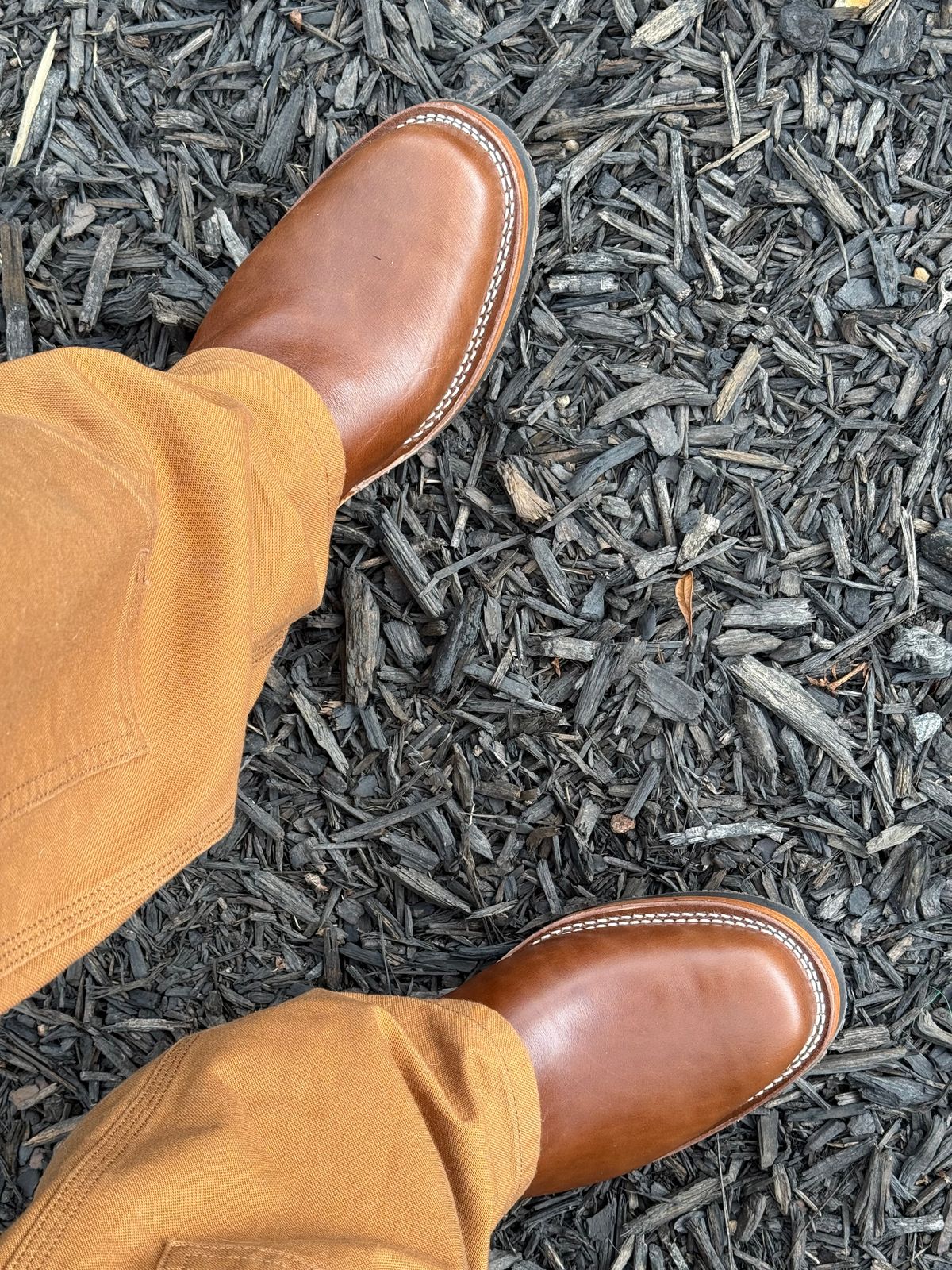 Photo by BigDawg308 on July 21, 2025 of the Wesco Mister Lou in Maryam Toscanello TPR Horsebutt.