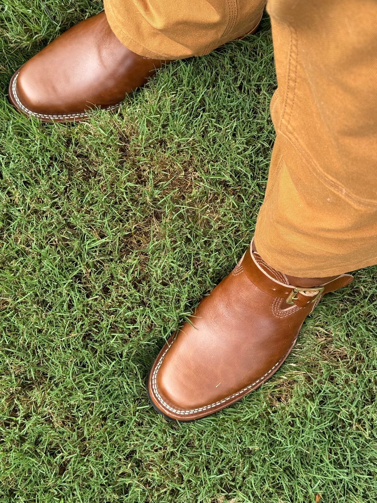 Photo by BigDawg308 on July 21, 2025 of the Wesco Mister Lou in Maryam Toscanello TPR Horsebutt.