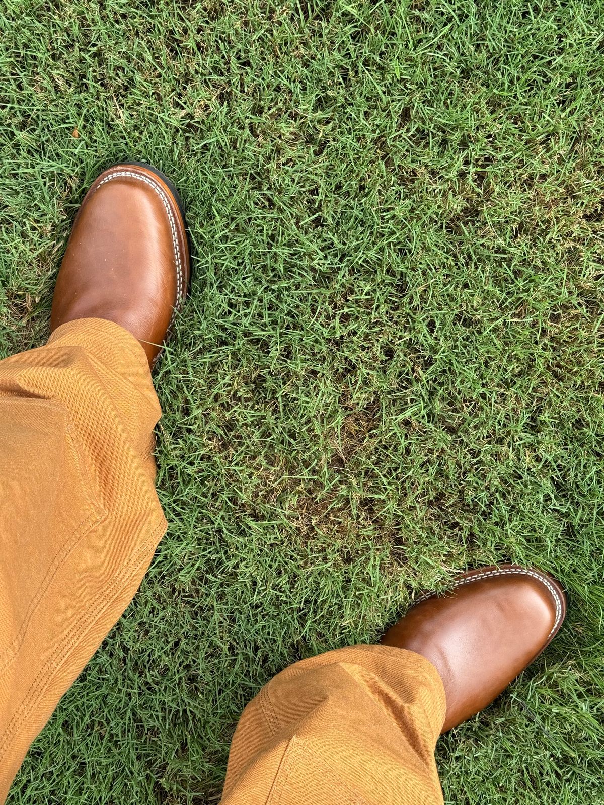 Photo by BigDawg308 on July 21, 2025 of the Wesco Mister Lou in Maryam Toscanello TPR Horsebutt.