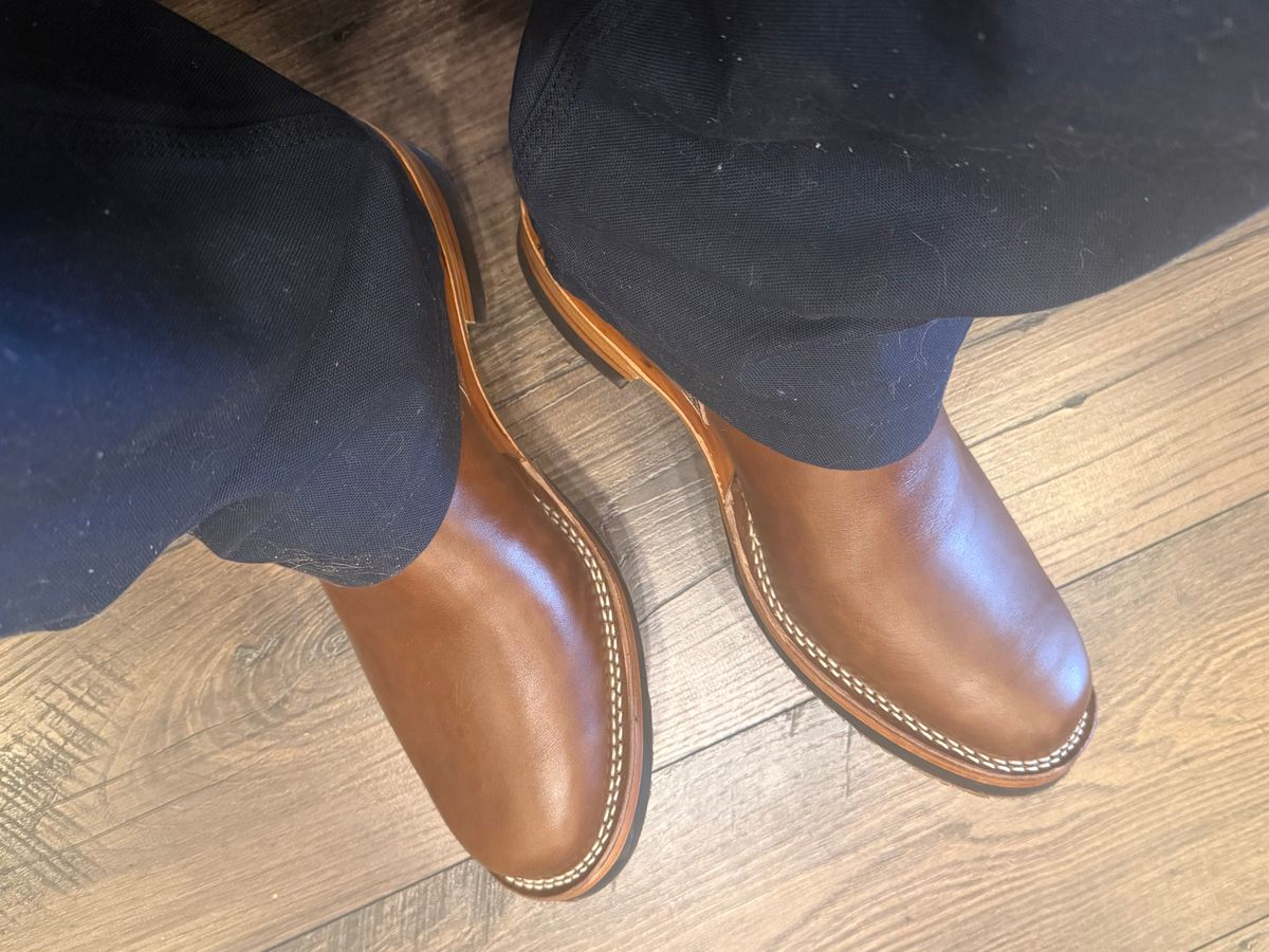 Photo by BigDawg308 on August 8, 2025 of the Wesco Mister Lou in Maryam Toscanello TPR Horsebutt.