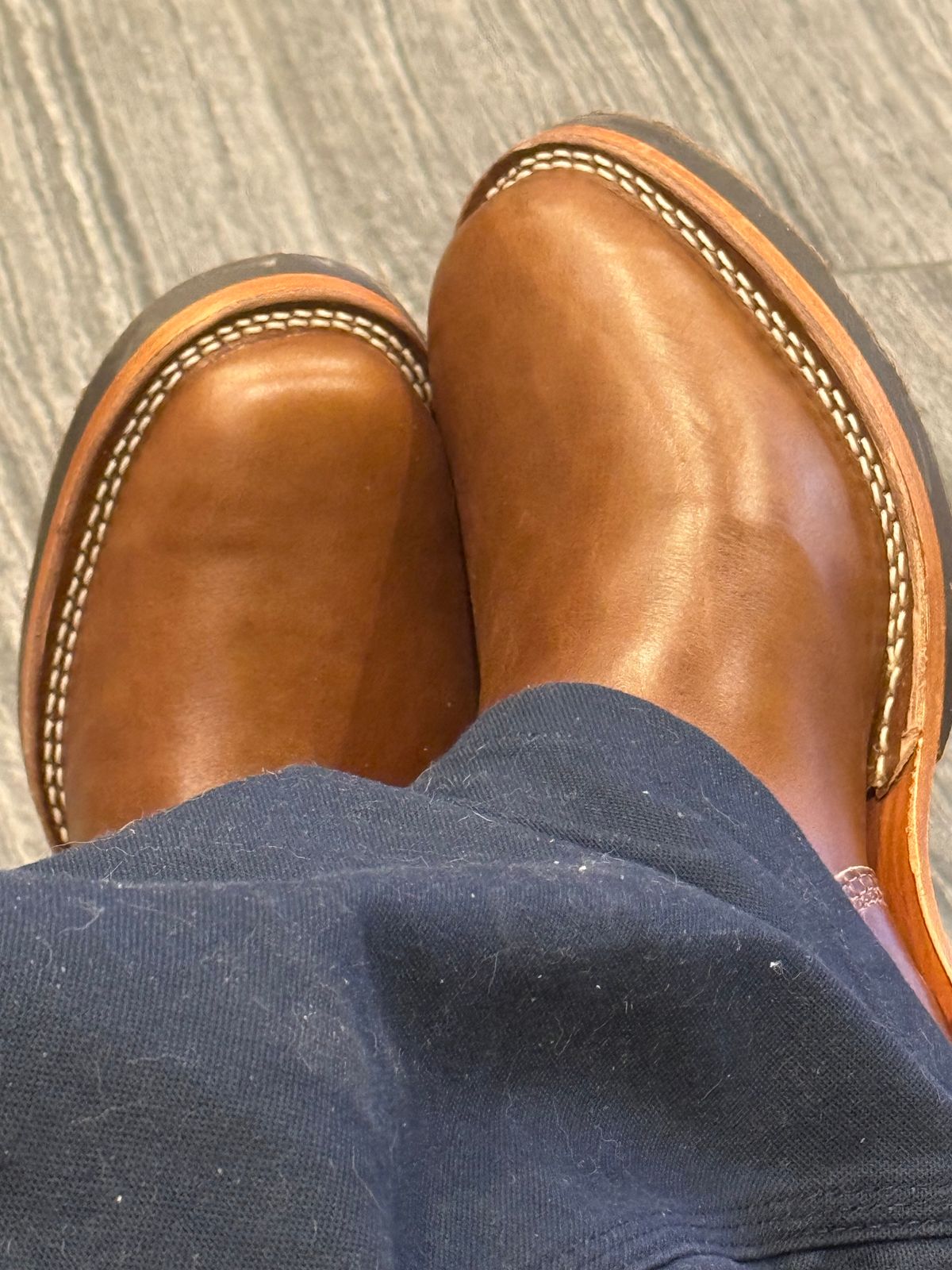 Photo by BigDawg308 on August 8, 2025 of the Wesco Mister Lou in Maryam Toscanello TPR Horsebutt.