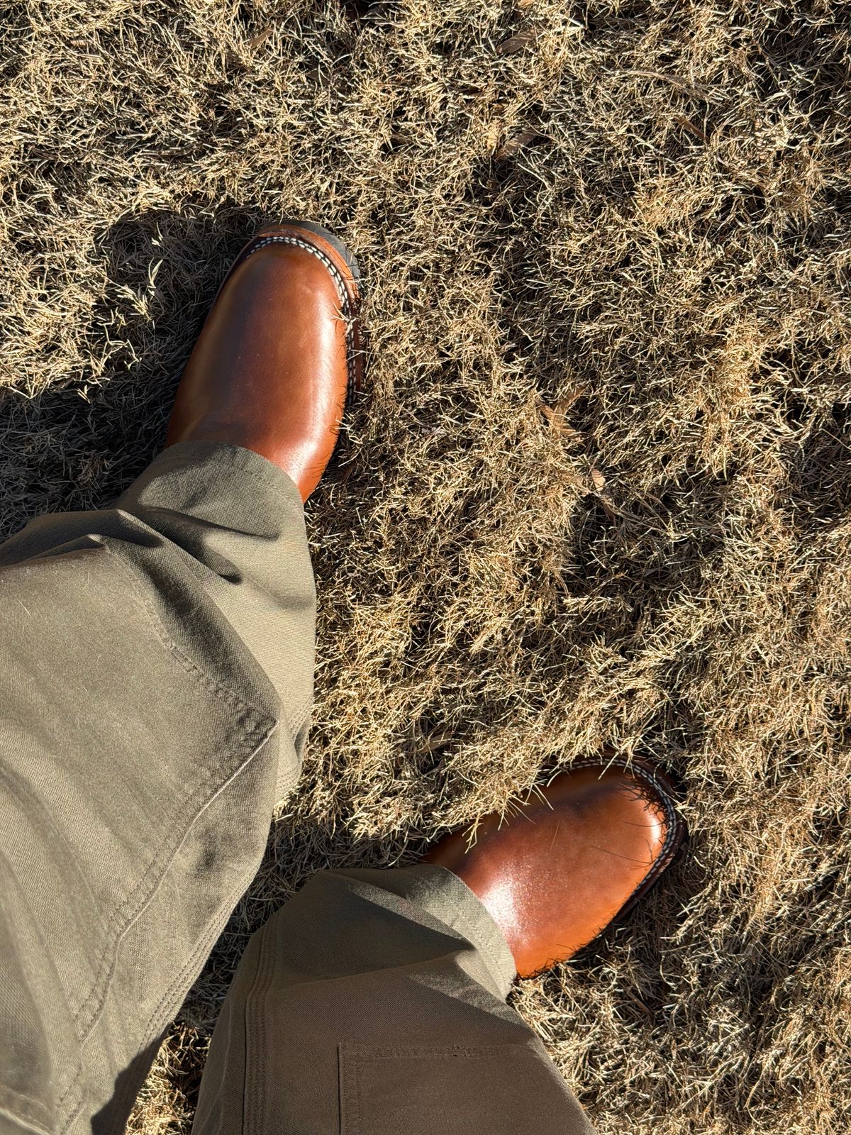 Photo by BigDawg308 on December 19, 2025 of the Wesco Mister Lou in Maryam Toscanello TPR Horsebutt.