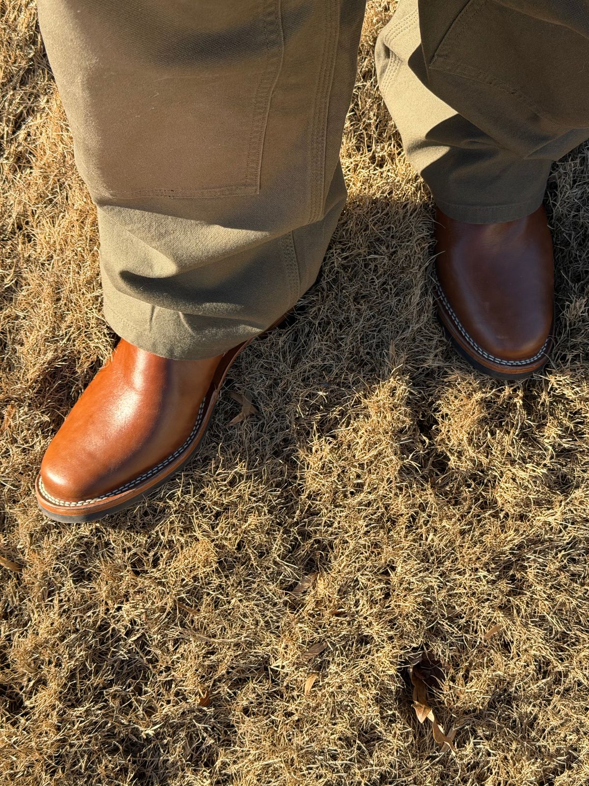 Photo by BigDawg308 on December 19, 2025 of the Wesco Mister Lou in Maryam Toscanello TPR Horsebutt.